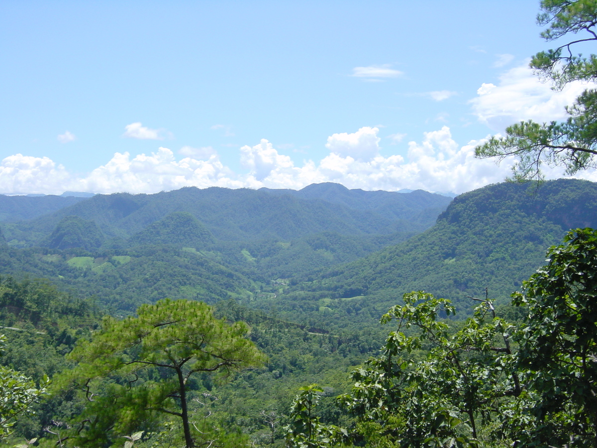 รูปถ่าย ไทย(Thailand) แม่ฮ่องสอน(Mae Hong Son) 2003-07 12