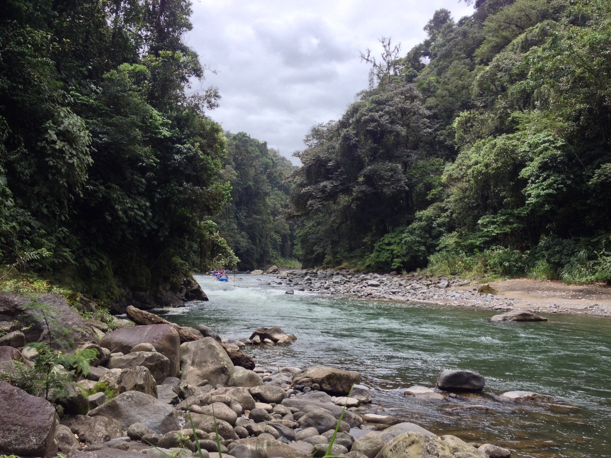 รูปถ่าย คอสตาริกา(Costa Rica) แม่น้ำปากัวเร(Pacuare River) 2015-03 242