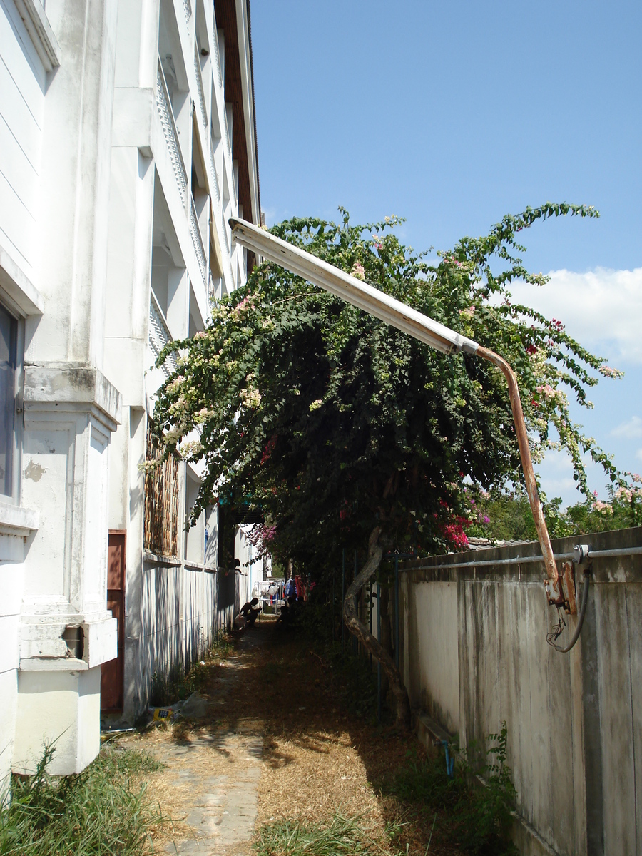 รูปถ่าย ไทย(Thailand) หาดจอมเทียน(Jomtien Beach) มาเจสติกคอนโด(Majestic Condo) 2007-02 0