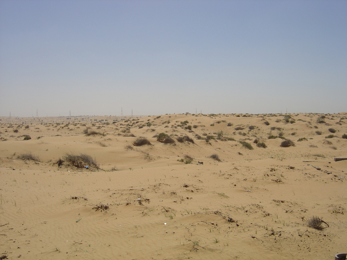 รูปถ่าย สหรัฐอาหรับเอมิเรตส์(United Arab Emirates) ถนนใกล้อาจแมน(Road near Ajman) 2005-03 8