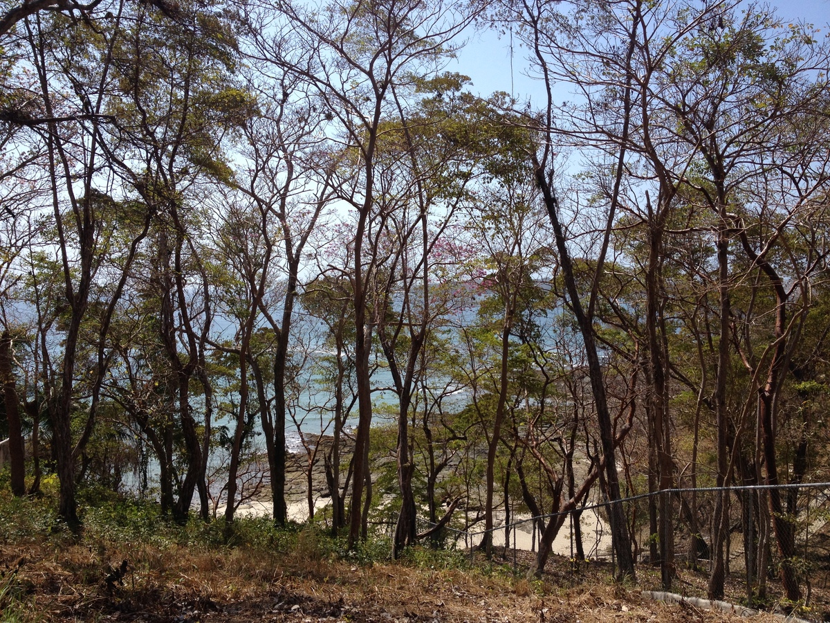 รูปถ่าย ปานามา(Panama) เกาะคอนตาโดรา(Contadora Island) 2015-03 80