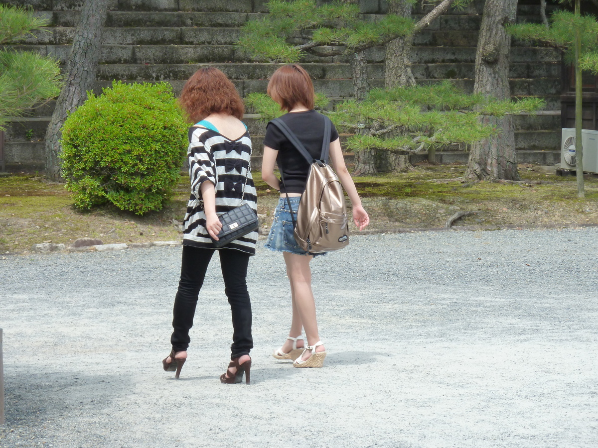 รูปถ่าย ญี่ปุ่น(Japan) เกียวโต(Kyoto) ปราสาทนิโจ(Nijo Castle) พระราชวังฮมมะรุ(Honmaru Palace) 2010-06 56