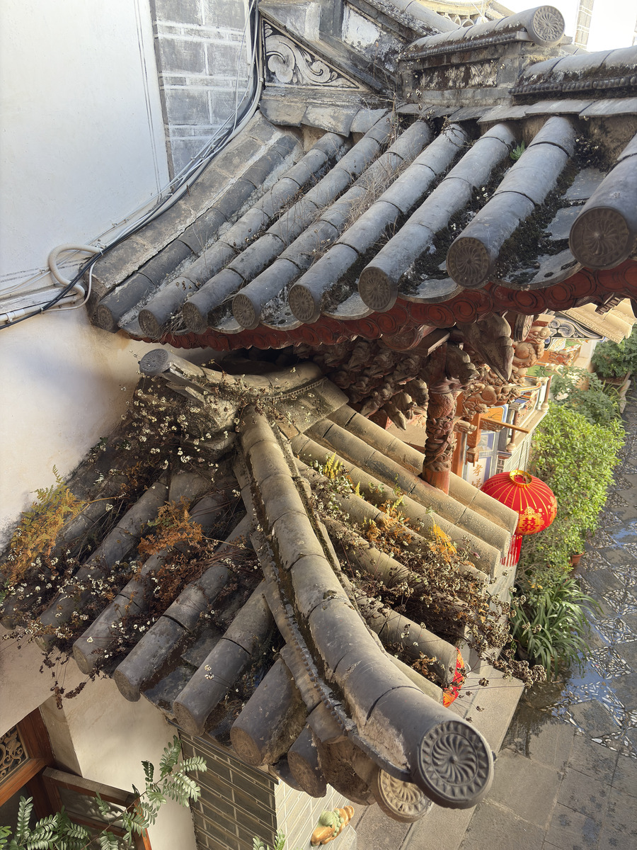 รูปถ่าย จีน(China) ต้าหลี่(Dali) เมืองซีโจว(Xizhouzhen) 2026-01 53