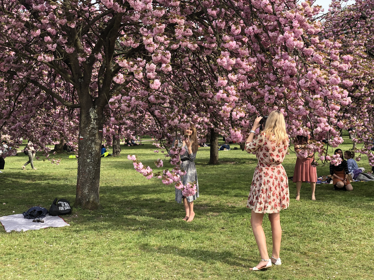 รูปถ่าย ฝรั่งเศส(France) สวนโซ(Parc de Sceaux) 2019-04 5