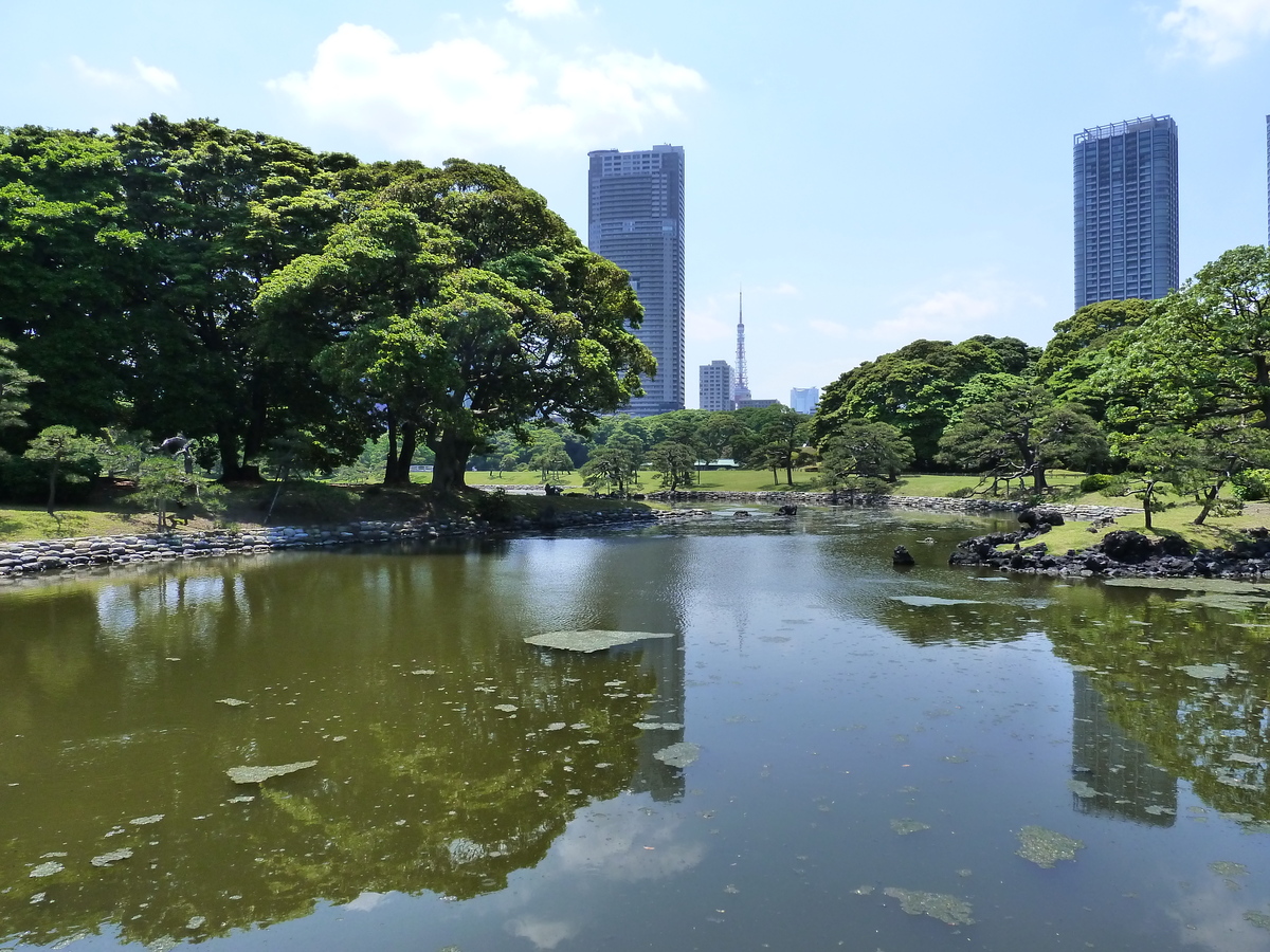 รูปถ่าย ญี่ปุ่น(Japan) โตเกียว(Tokyo) สวนฮามะริคิว(Hama rikyu Gardens) 2010-06 103