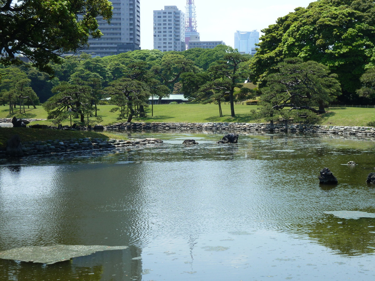 รูปถ่าย ญี่ปุ่น(Japan) โตเกียว(Tokyo) สวนฮามะริคิว(Hama rikyu Gardens) 2010-06 96