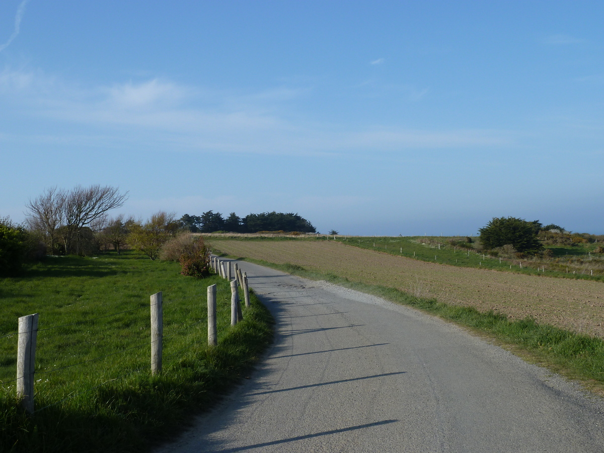 รูปถ่าย ฝรั่งเศส(France) แซ็งกูลง(St Coulomb) 2010-04 10