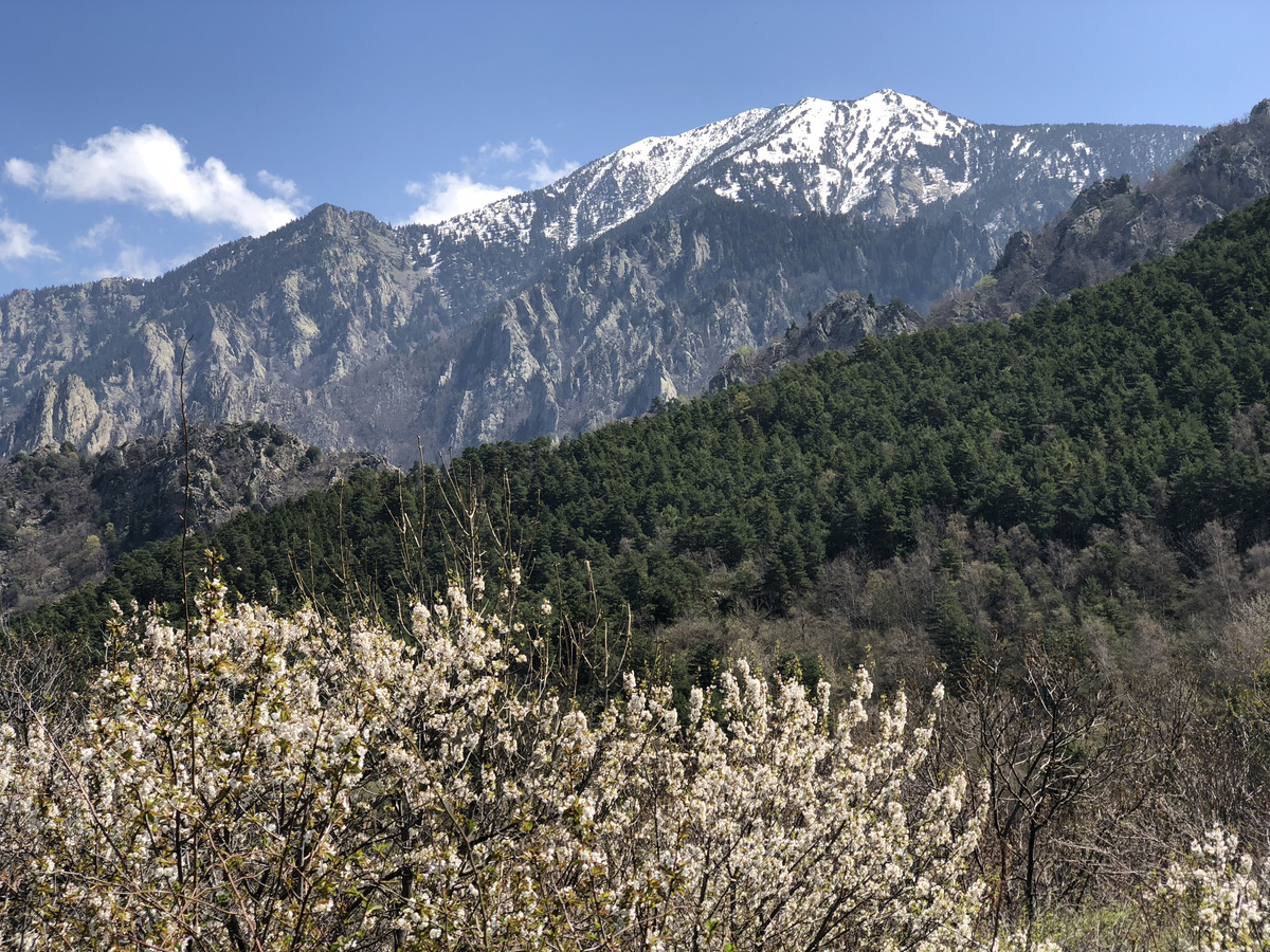รูปถ่าย ฝรั่งเศส(France) แอบบีแซ็งมาร์แต็งดูกานีกู(Abbaye Saint Martin du Canigou) 2018-04 192