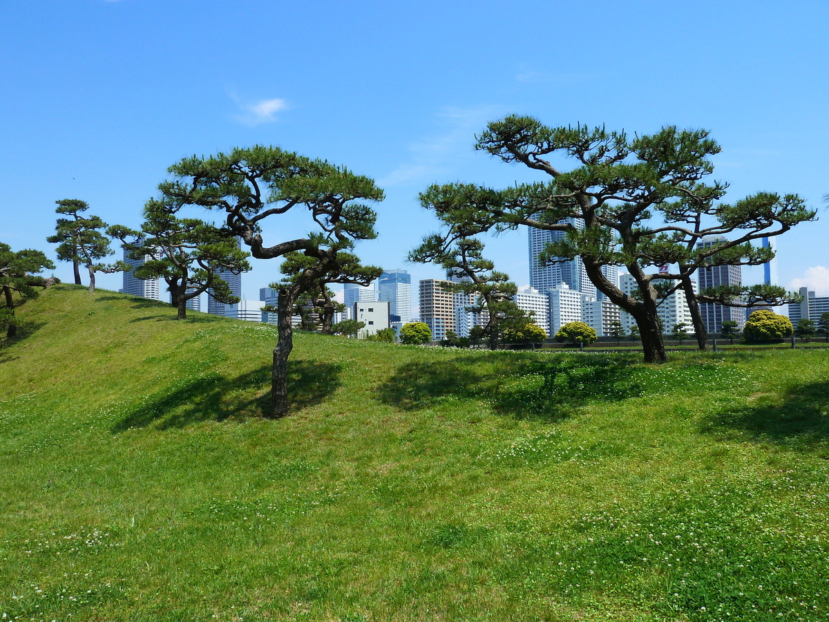 รูปถ่าย ญี่ปุ่น(Japan) โตเกียว(Tokyo) สวนฮามะริคิว(Hama rikyu Gardens) 2010-06 50
