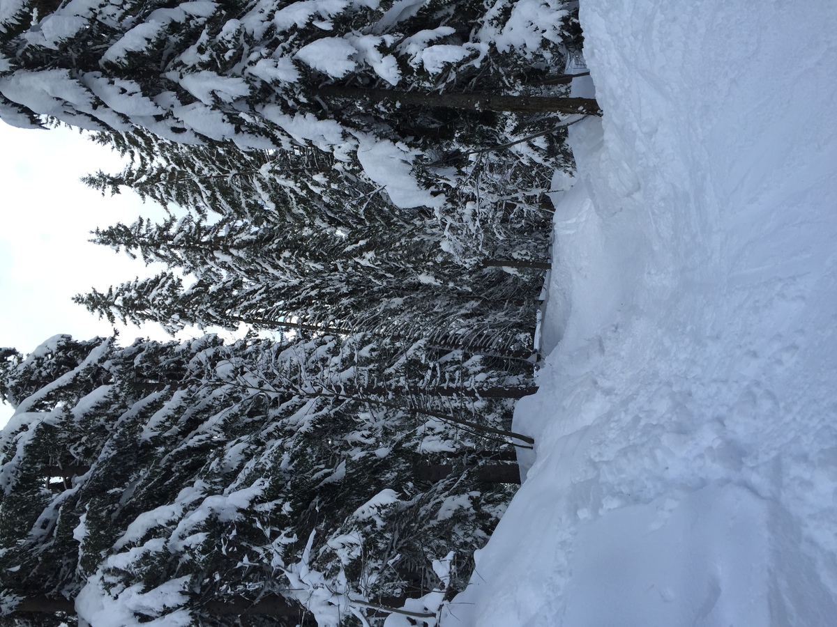 รูปถ่าย ฝรั่งเศส(France) เมแฌฟว์(Megeve) 2016-02 78