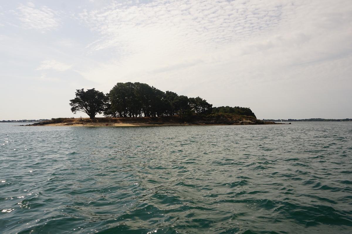 รูปถ่าย ฝรั่งเศส(France) อ่าวมอร์บีอ็อง(Golfe du Morbihan) 2016-08 50