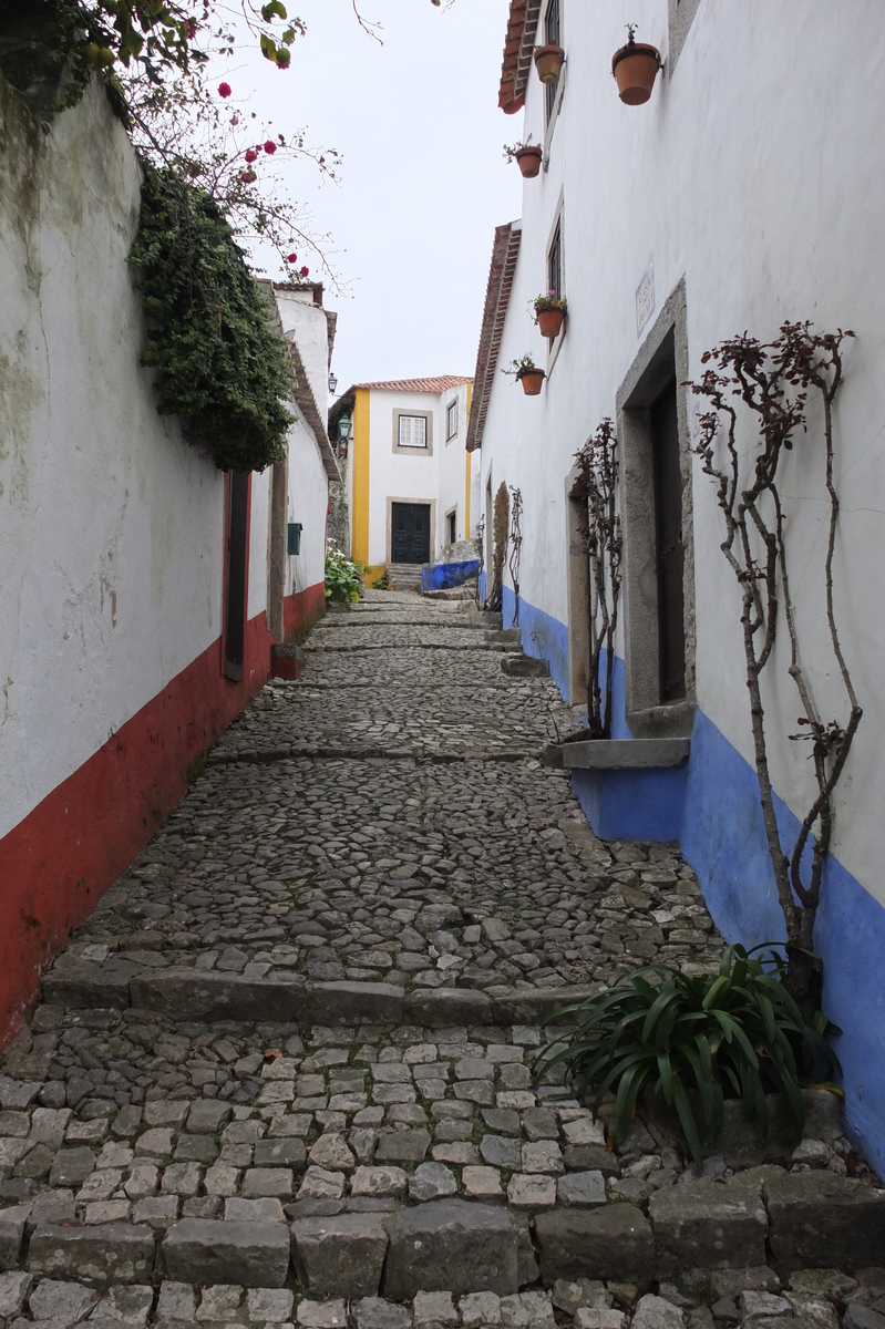 รูปถ่าย โปรตุเกส(Portugal) โอบีโดส(Obidos) 2013-01 107