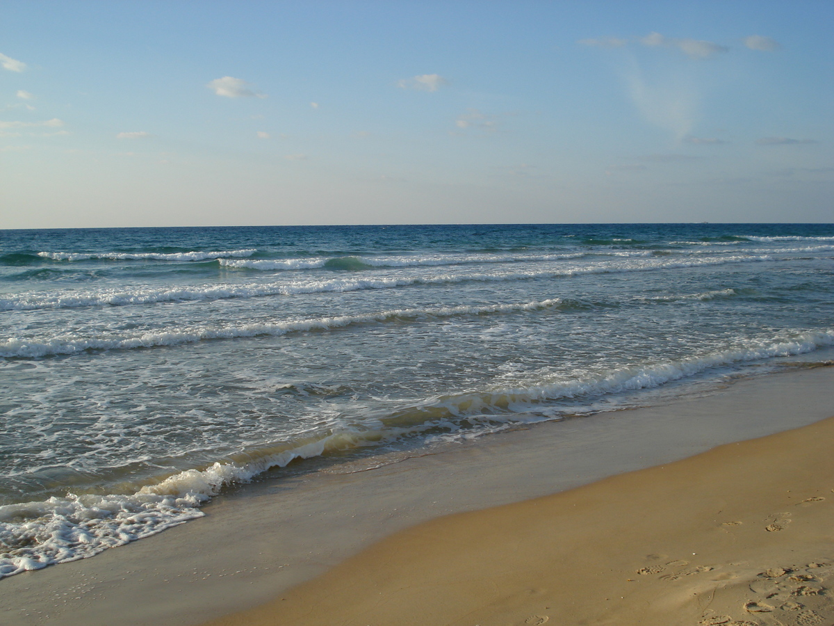 รูปถ่าย อิสราเอล(Israel) จากไฮฟาไปเทลอาวีฟ(From Haifa to Tel Aviv) 2006-12 100