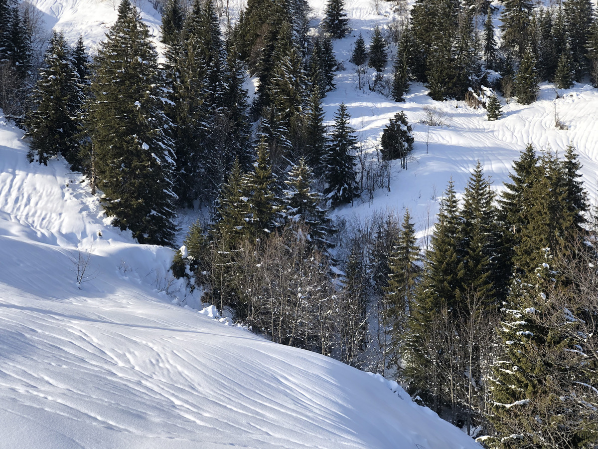 รูปถ่าย ฝรั่งเศส(France) ปรา-ซูร์-อาร์ลี(Praz sur Arly) 2019-12 122