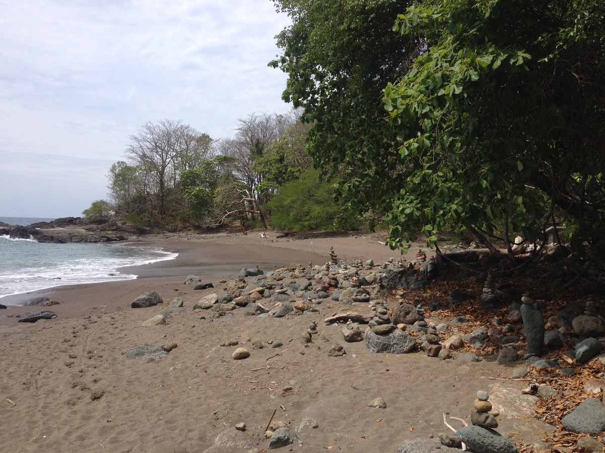 รูปถ่าย คอสตาริกา(Costa Rica) มอนเตซูมา(Montezuma) 2015-03 363