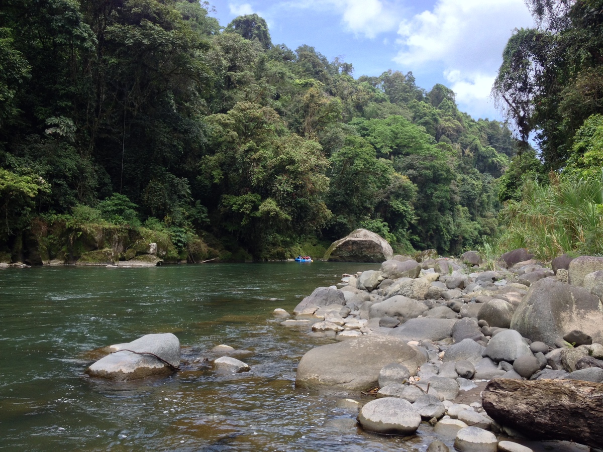 รูปถ่าย คอสตาริกา(Costa Rica) แม่น้ำปากัวเร(Pacuare River) 2015-03 41