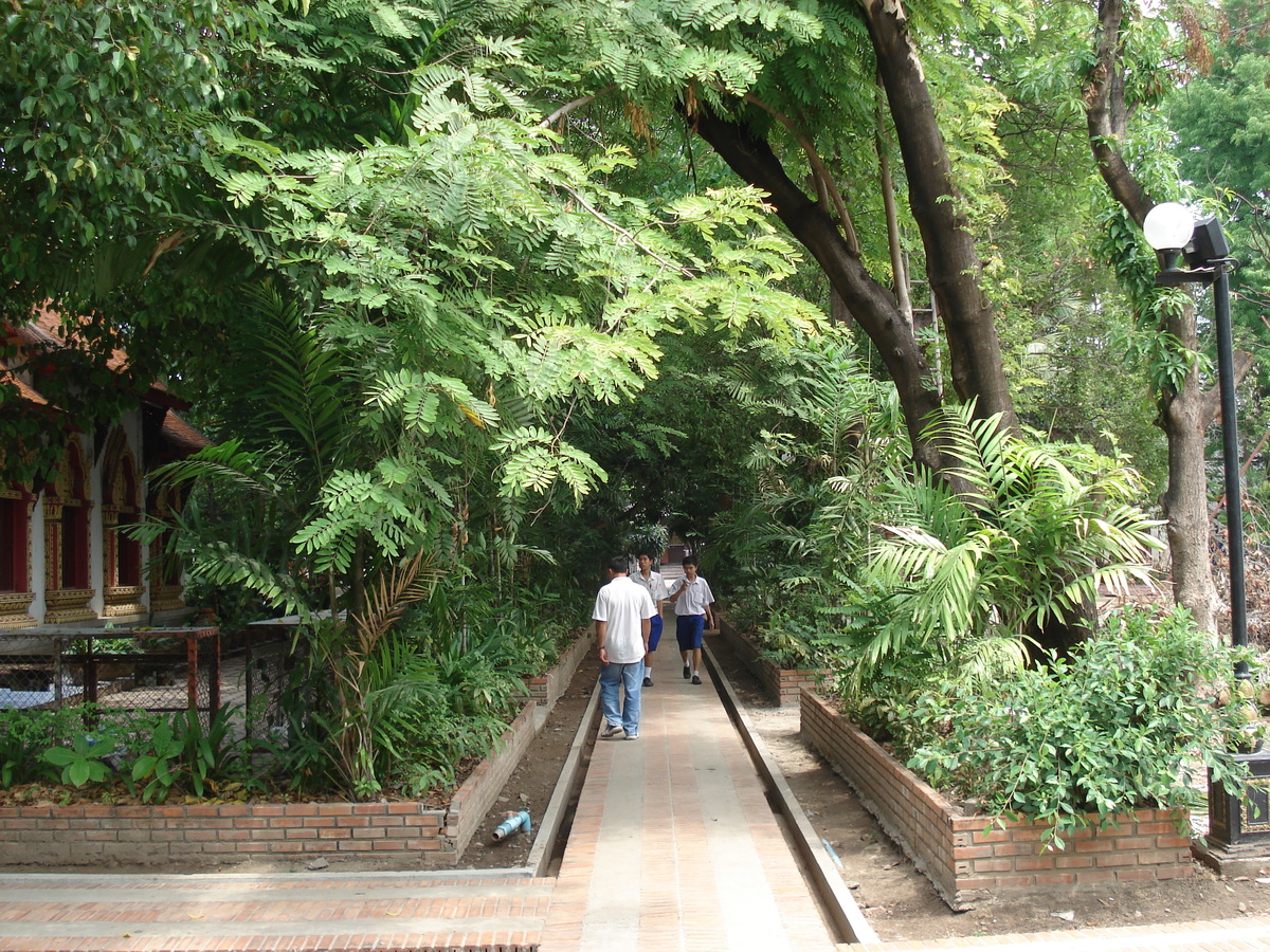 รูปถ่าย ไทย(Thailand) เชียงใหม่(Chiang Mai) ข้างในคุเมืองเชียงใหม่(Inside Canal) วัดพระสิงห์(Wat Phra Sing temple) 2006-04 3
