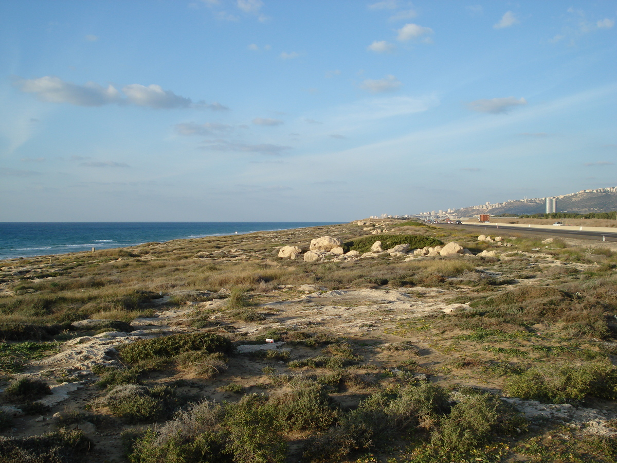 รูปถ่าย อิสราเอล(Israel) จากไฮฟาไปเทลอาวีฟ(From Haifa to Tel Aviv) 2006-12 72