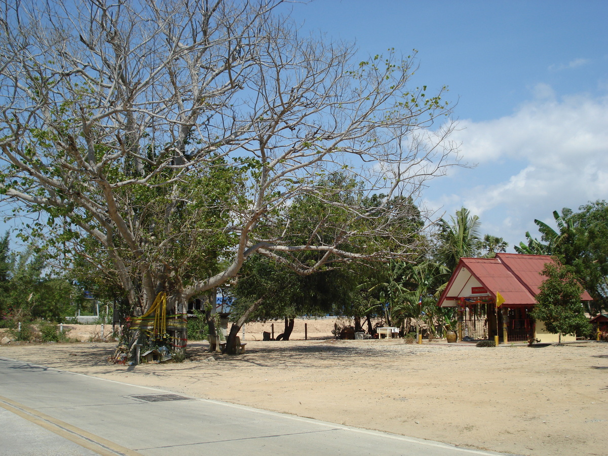 รูปถ่าย ไทย(Thailand) จอมเทียน(Jomtien) 2007-02 49