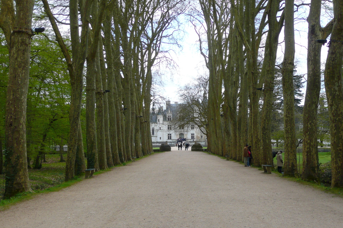 รูปถ่าย ฝรั่งเศส(France) ปราสาทเชอนงโซ(Chenonceau Castle) สวนปราสาทเชอนงโซ(Gardens of Chenonceau) 2008-04 37