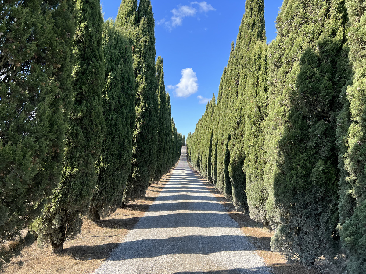 รูปถ่าย อิตาลี(Italy) ทัสคานี(Tuscany) 2021-09 20