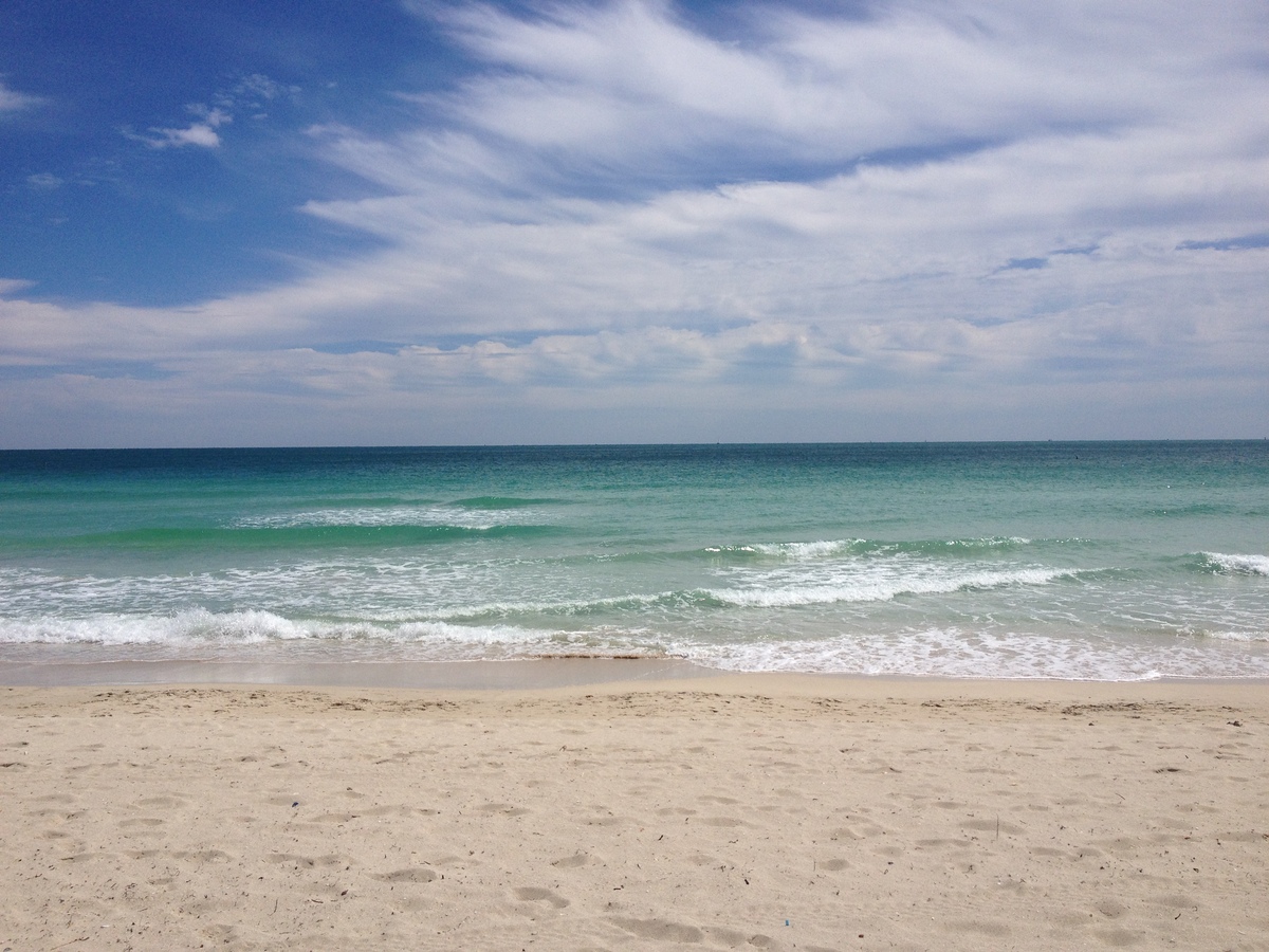 รูปถ่าย สหรัฐอเมริกา(United States) ไมแอมีบีช(Miami Beach) 2015-03 65