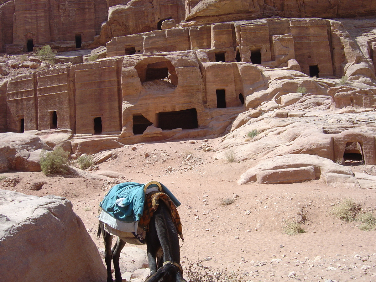รูปถ่าย จอร์แดน(Jordan) เปตร้า(Petra) 2004-10 70