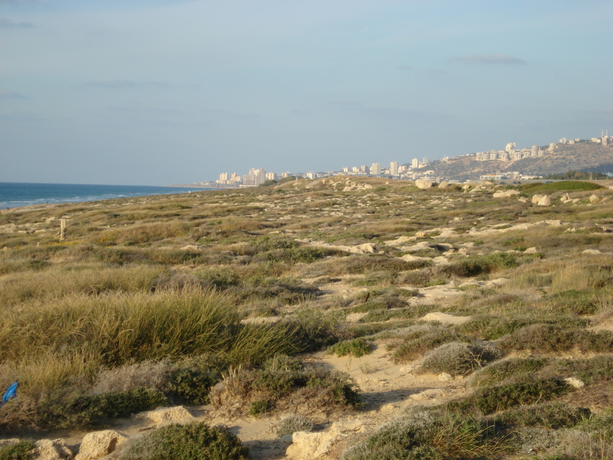 รูปถ่าย อิสราเอล(Israel) จากไฮฟาไปเทลอาวีฟ(From Haifa to Tel Aviv) 2006-12 79