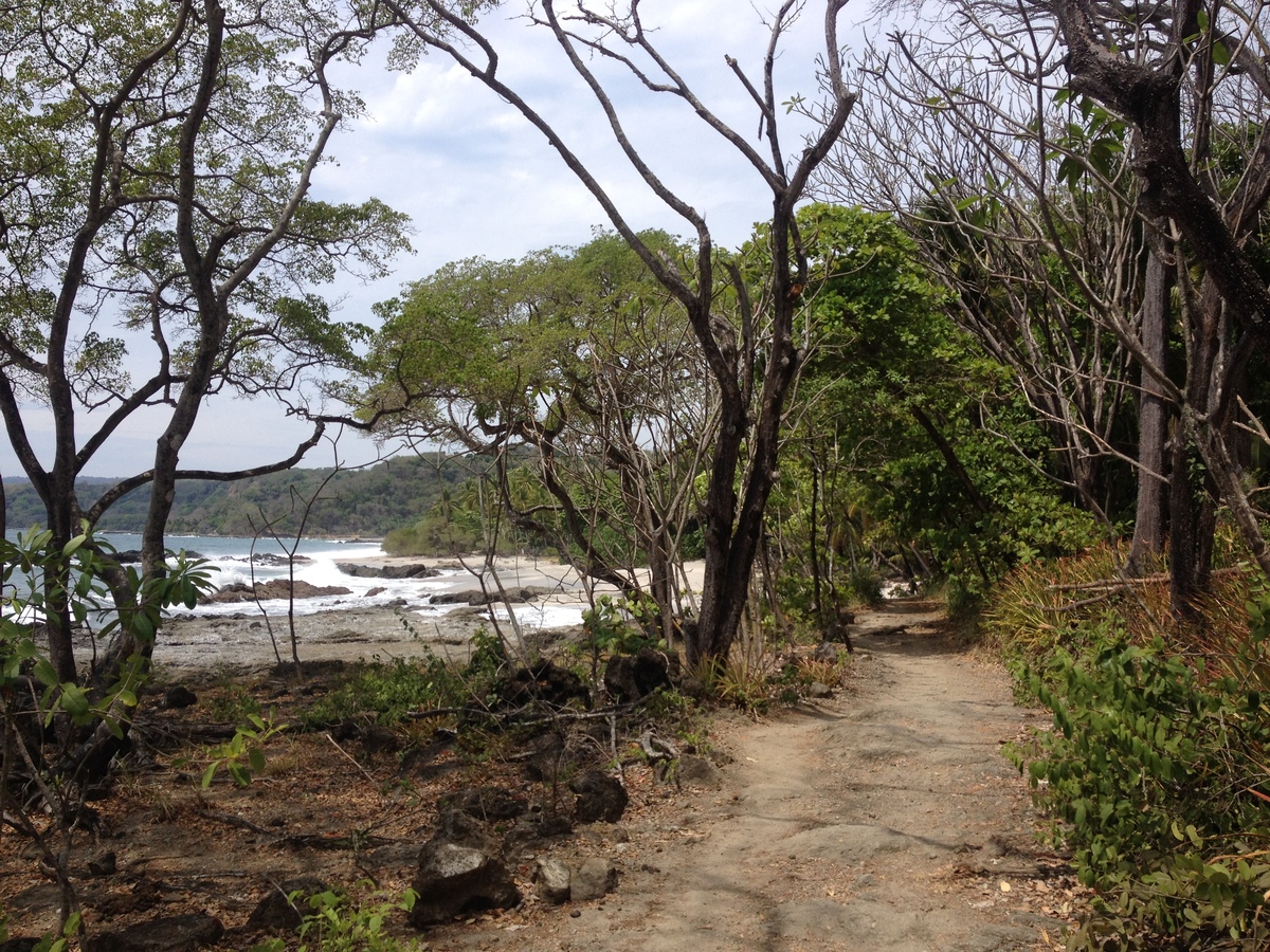 รูปถ่าย คอสตาริกา(Costa Rica) มอนเตซูมา(Montezuma) 2015-03 541