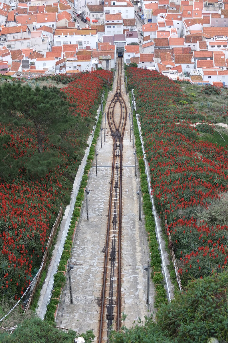 รูปถ่าย โปรตุเกส(Portugal) นาซาเร(Nazare) 2013-01 15