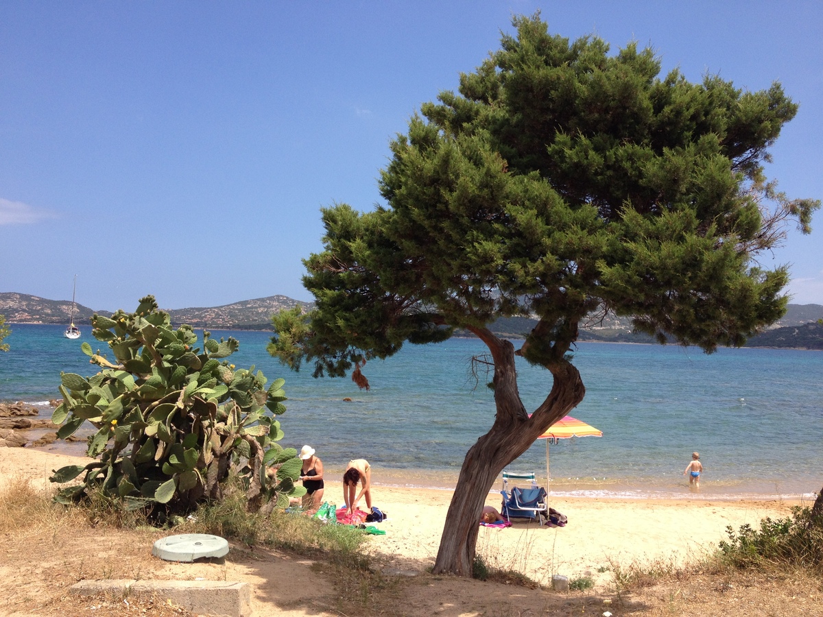 รูปถ่าย อิตาลี(Italy) ซาร์ดิเนีย(Sardinia) กอสตาสเมรัลดา(Costa Smeralda) 2015-06 17