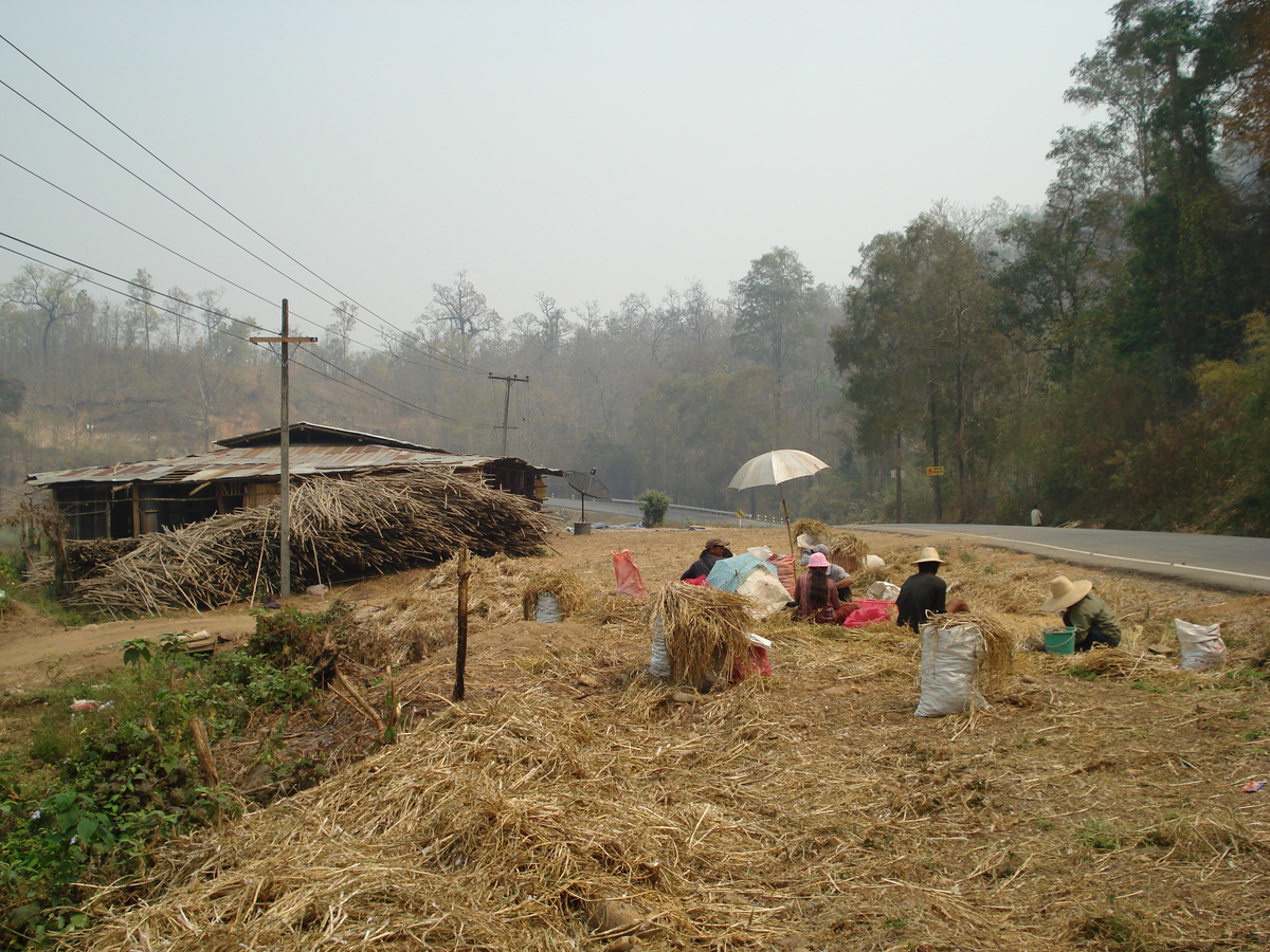 รูปถ่าย ไทย(Thailand) ถนนจากปางมะผ้าไปปาย(Pang Mapha to Pai road) 2007-02 7