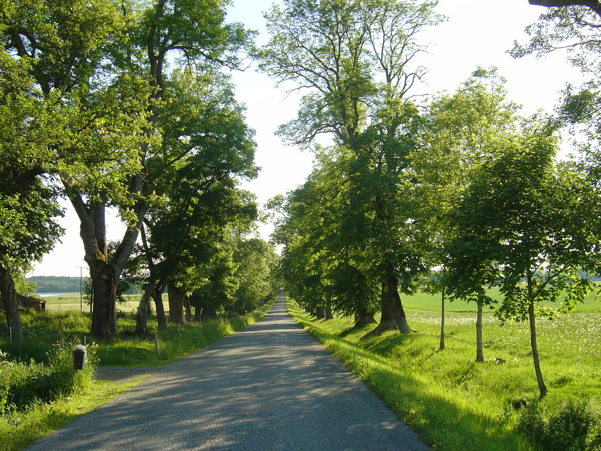 รูปถ่าย สวีเดน(Sweden) ถนนจากซิกทูนาไปอุปซอลา(Sigtuna to Uppsala road) 2005-06 10