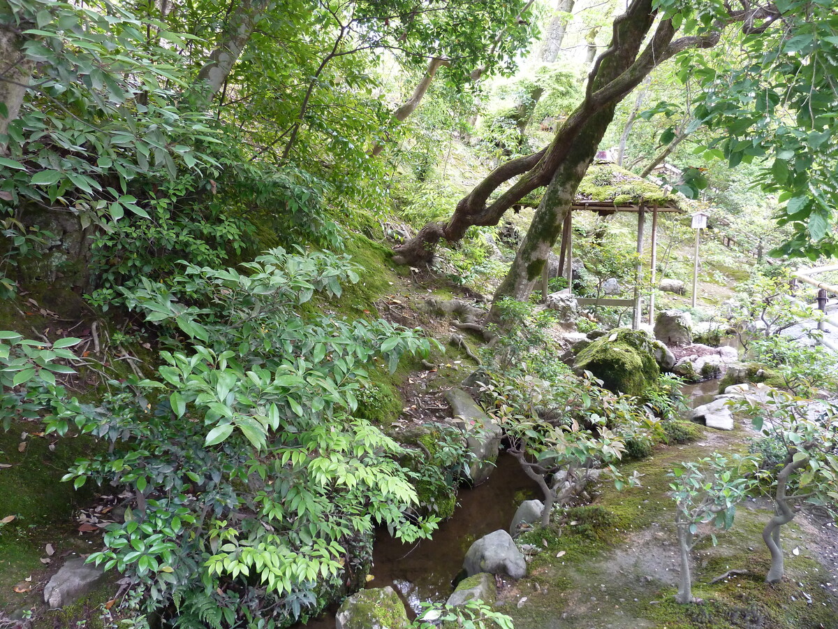 รูปถ่าย ญี่ปุ่น(Japan) เกียวโต(Kyoto) วัดคินกะกุจิ (ศาลาทอง)(Kinkakuji Temple(Golden Pavilion)) 2010-06 61