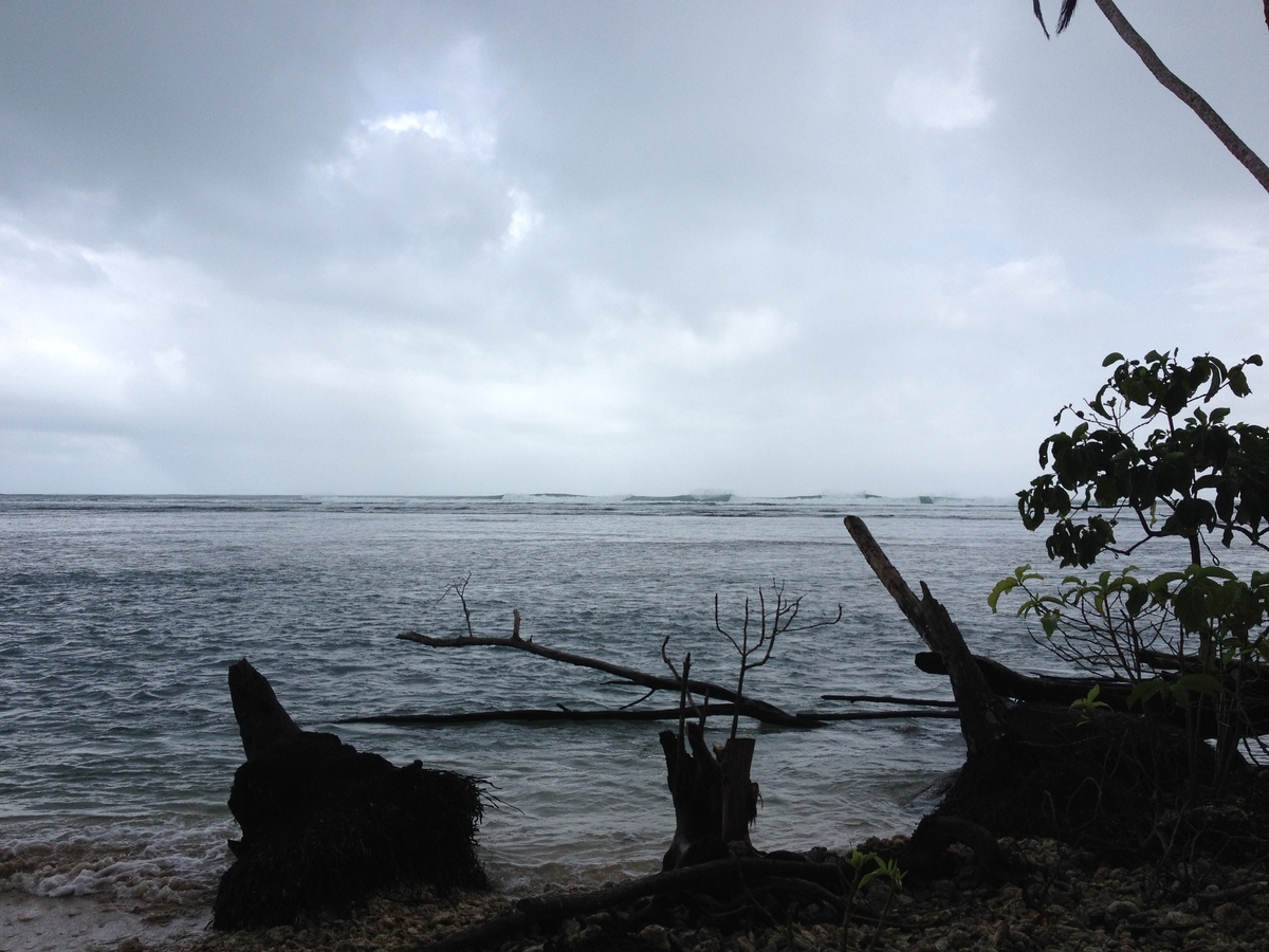 รูปถ่าย คอสตาริกา(Costa Rica) กาอุยตา(Cahuita) 2015-03 218