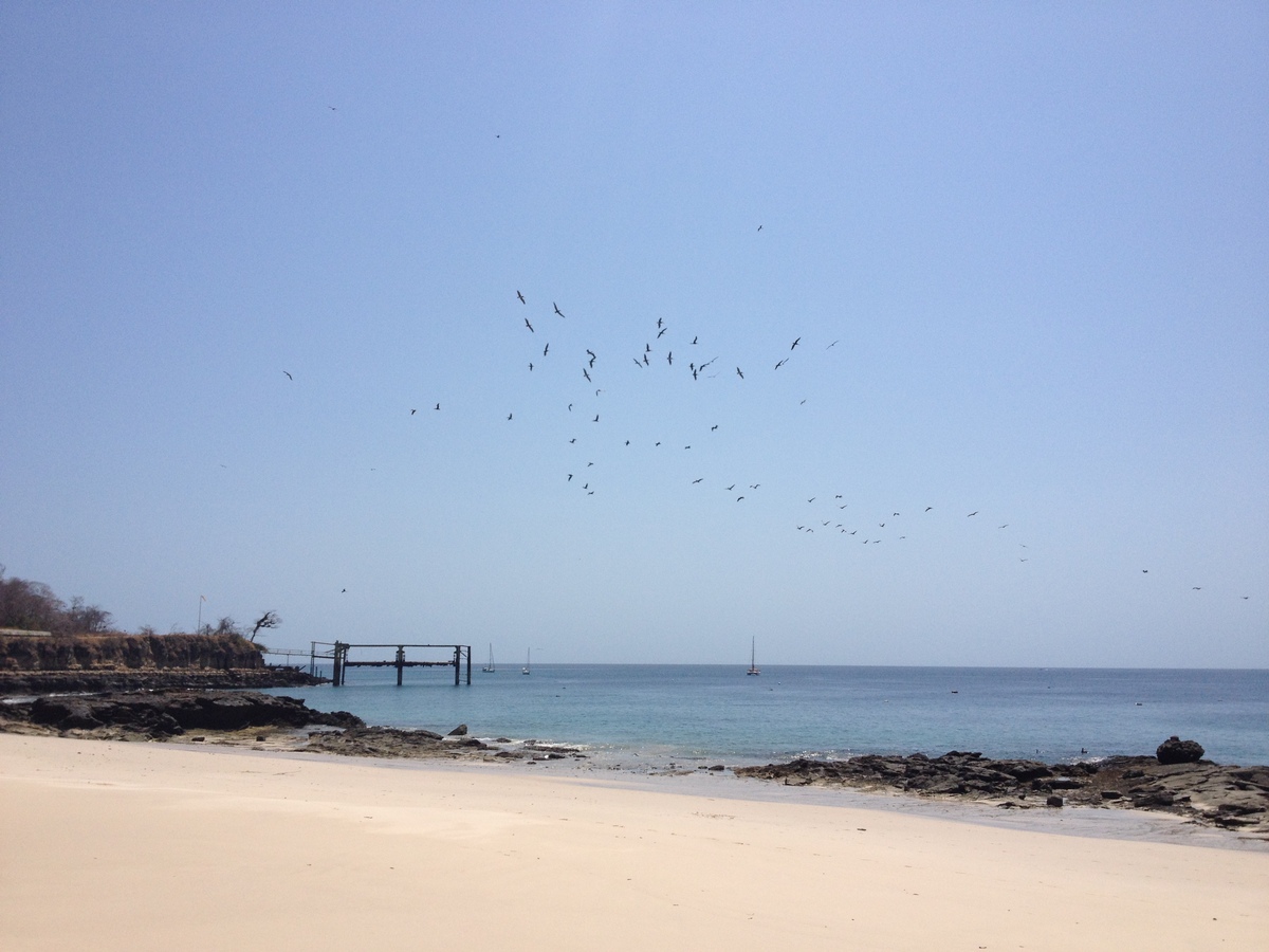 รูปถ่าย ปานามา(Panama) เกาะคอนตาโดรา(Contadora Island) 2015-03 56