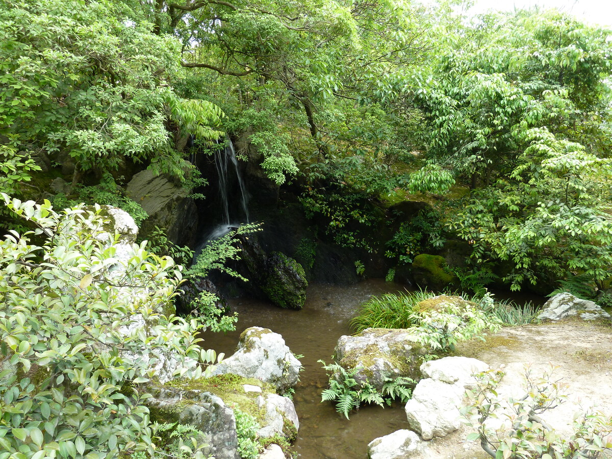 รูปถ่าย ญี่ปุ่น(Japan) เกียวโต(Kyoto) วัดคินกะกุจิ (ศาลาทอง)(Kinkakuji Temple(Golden Pavilion)) 2010-06 80