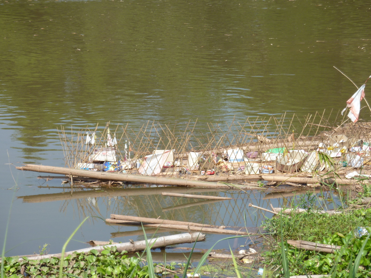 รูปถ่าย ไทย(Thailand) พิษณุโลก(Phitsanulok) จอมทอง(Chom Thong) 2009-12 62