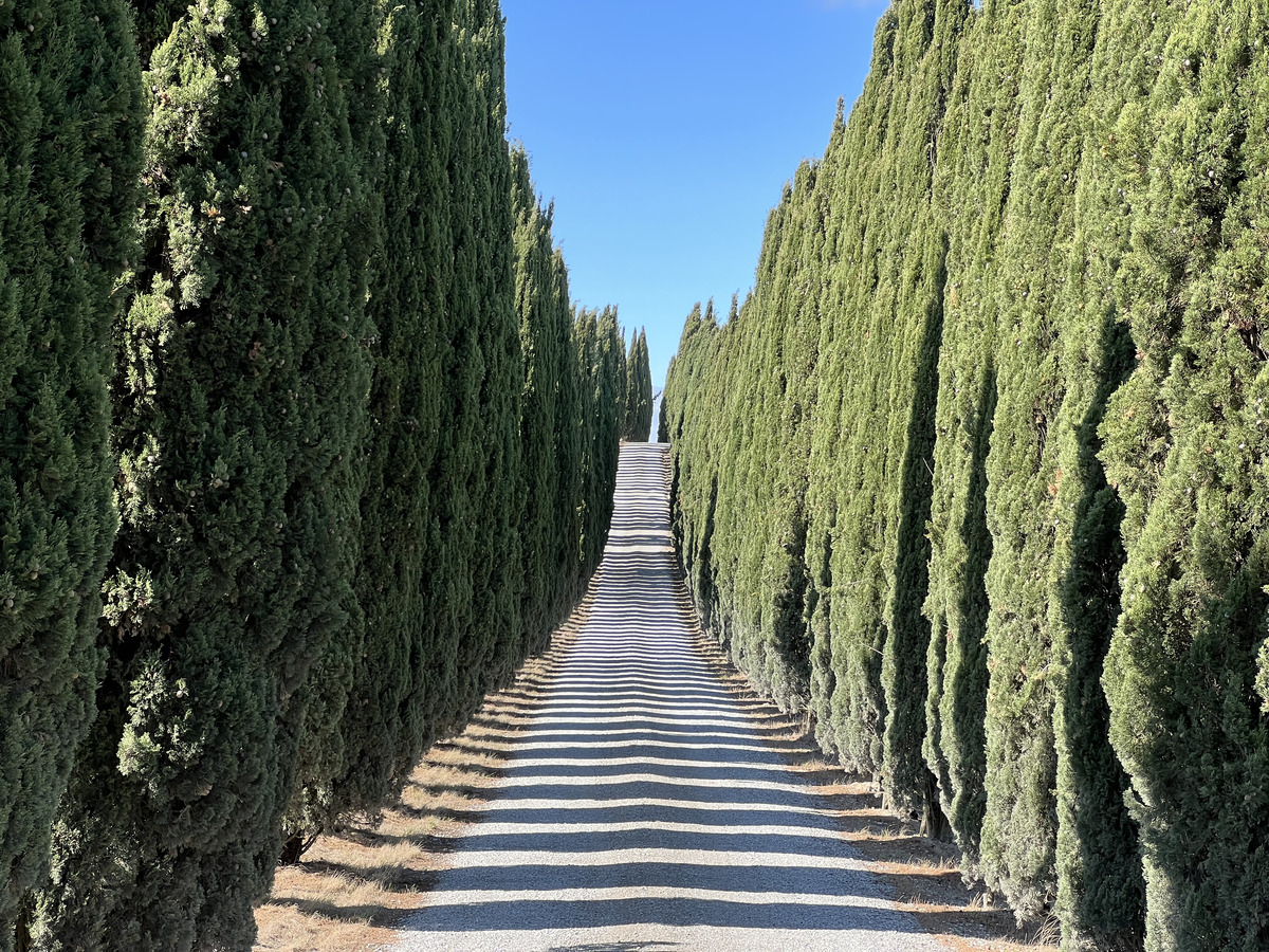 รูปถ่าย อิตาลี(Italy) ทัสคานี(Tuscany) 2021-09 6