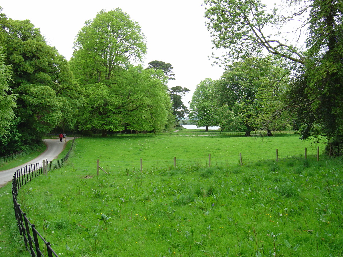 รูปถ่าย ไอร์แลนด์(Ireland) เคอร์รี่(Kerry) สวนสาธารณะคิลลาร์นีย์เนชั่นเนล(Killarney National Park) ทะเลสาบมัครอส(Muckross Lake) 2004-05 24