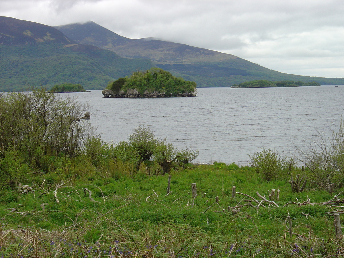 รูปถ่าย ไอร์แลนด์(Ireland) เคอร์รี่(Kerry) สวนสาธารณะคิลลาร์นีย์เนชั่นเนล(Killarney National Park) ทะเลสาบมัครอส(Muckross Lake) 2004-05 14