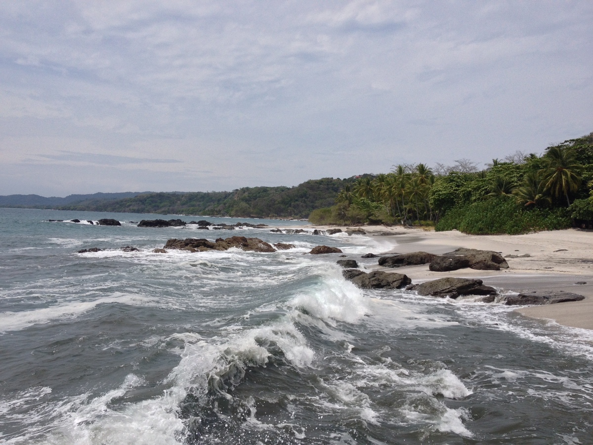 รูปถ่าย คอสตาริกา(Costa Rica) มอนเตซูมา(Montezuma) 2015-03 614