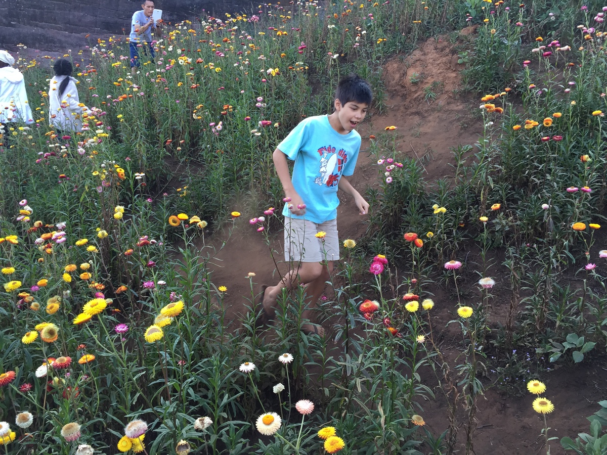 รูปถ่าย ไทย(Thailand) อุทยานแห่งชาติภูหินร่องกล้า(Phu Hin Rong Kla National Park) 2014-12 95