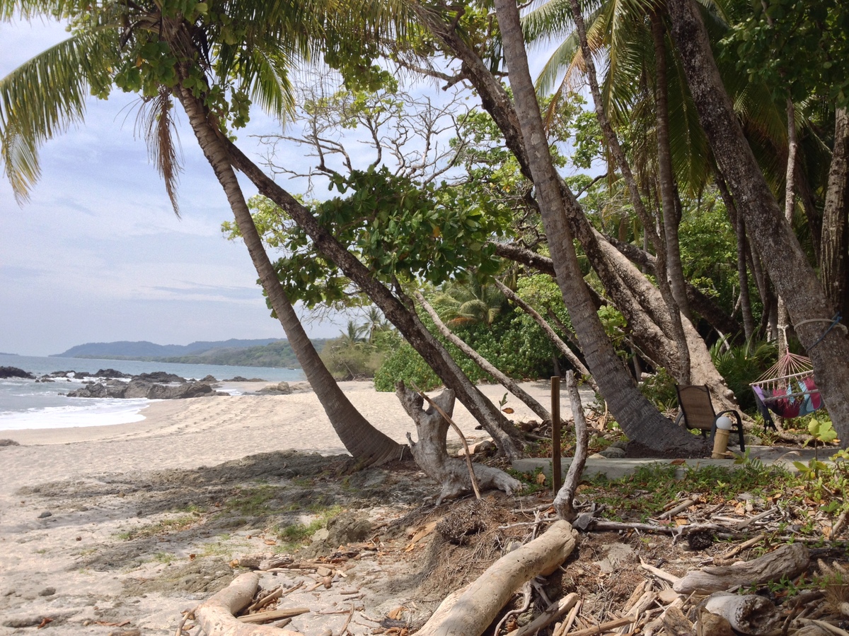 รูปถ่าย คอสตาริกา(Costa Rica) มอนเตซูมา(Montezuma) 2015-03 502