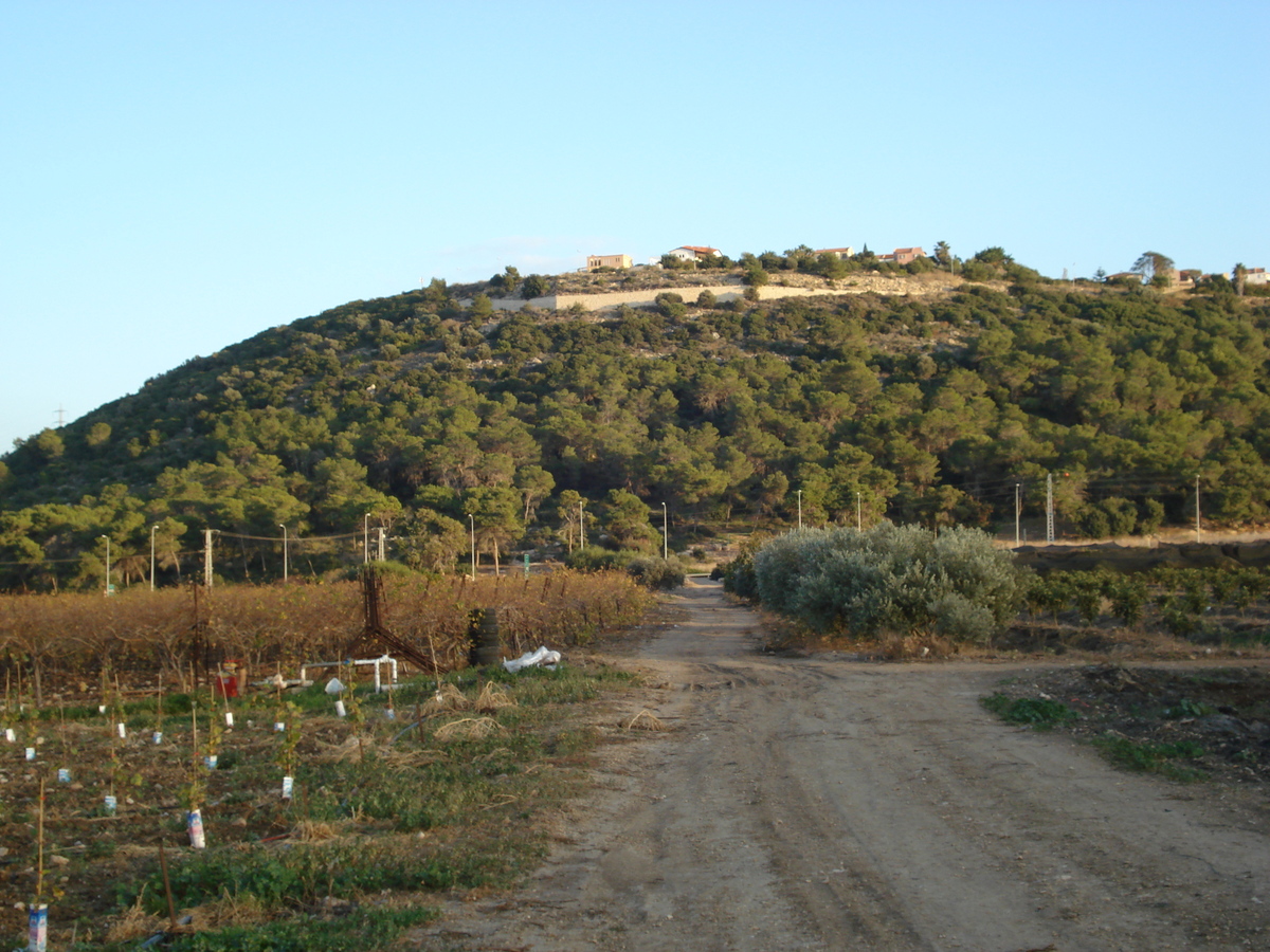 รูปถ่าย อิสราเอล(Israel) จากไฮฟาไปเทลอาวีฟ(From Haifa to Tel Aviv) 2006-12 49