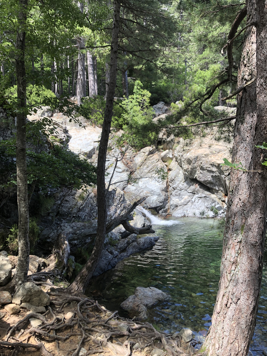 รูปถ่าย ฝรั่งเศส(France) คอร์สิคา(Corsica) น้ำตกเดซองเกล(Cascade des Anglais) 2020-07 20