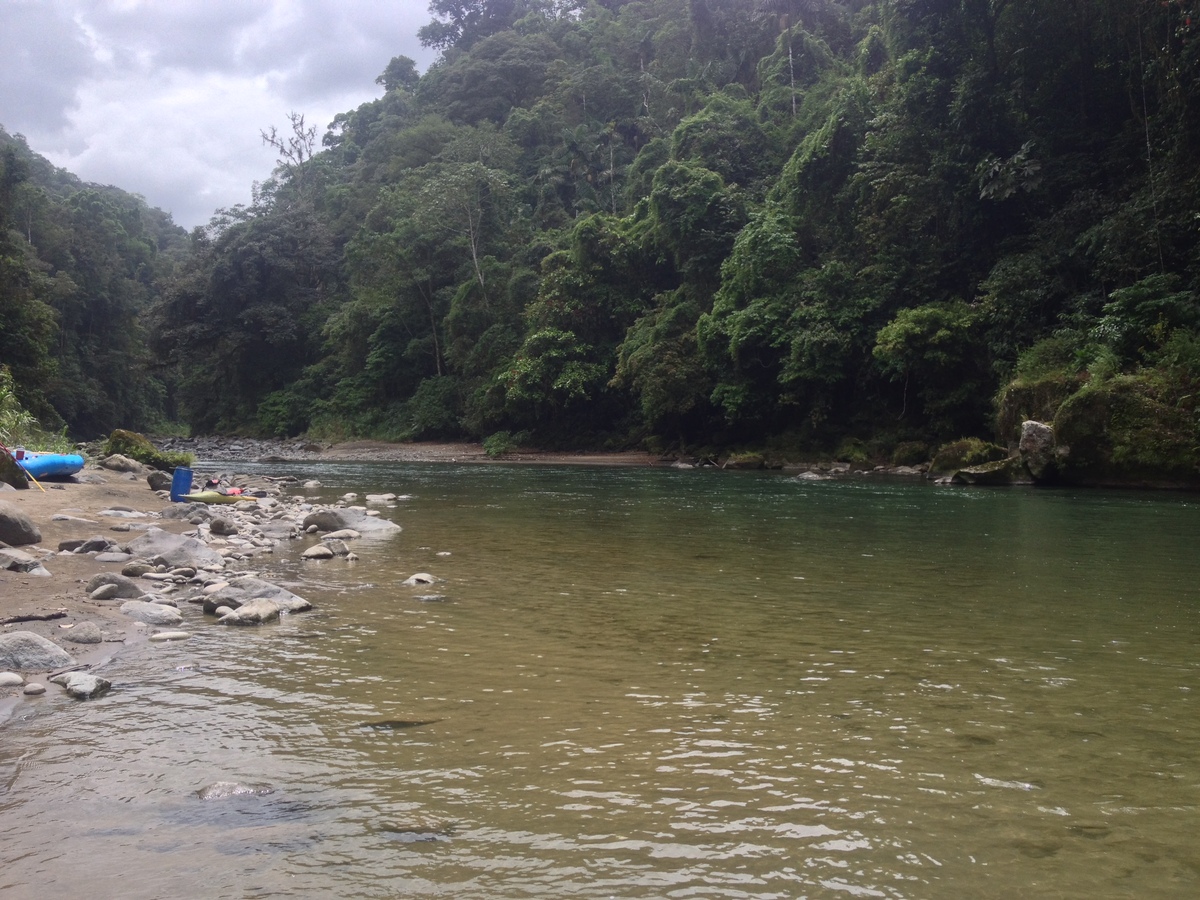 รูปถ่าย คอสตาริกา(Costa Rica) แม่น้ำปากัวเร(Pacuare River) 2015-03 95