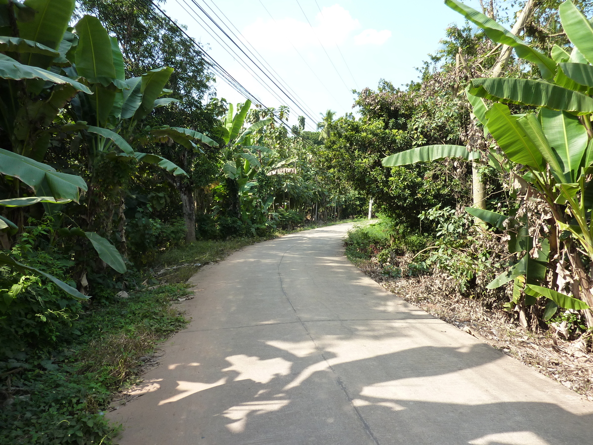 รูปถ่าย ไทย(Thailand) พิษณุโลก(Phitsanulok) จอมทอง(Chom Thong) 2009-12 19