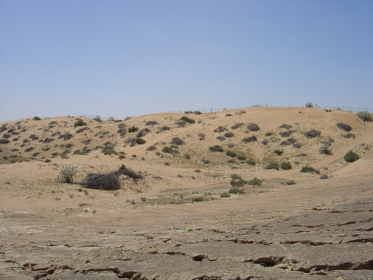 รูปถ่าย สหรัฐอาหรับเอมิเรตส์(United Arab Emirates) ถนนใกล้อาจแมน(Road near Ajman) 2005-03 4