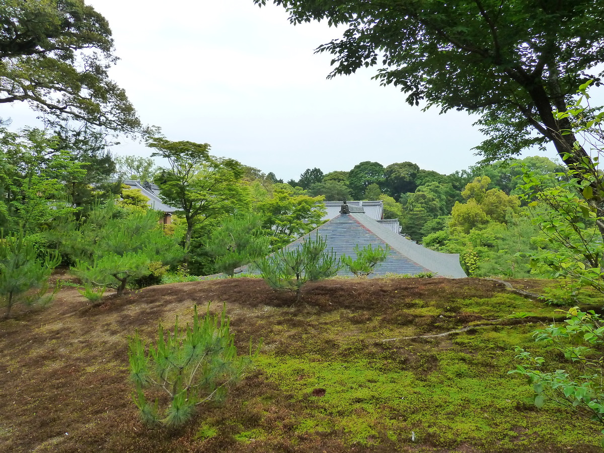 รูปถ่าย ญี่ปุ่น(Japan) เกียวโต(Kyoto) วัดคินกะกุจิ (ศาลาทอง)(Kinkakuji Temple(Golden Pavilion)) 2010-06 37